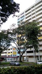 Blk 31 Marsiling Sapphire (Woodlands), HDB 3 Rooms #609518641